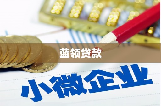广德蓝领贷款