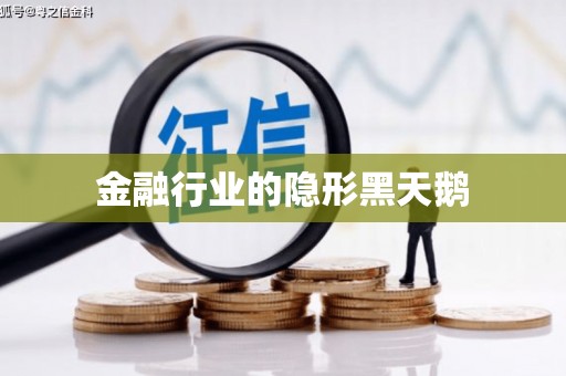 都安金融行业的隐形黑天鹅