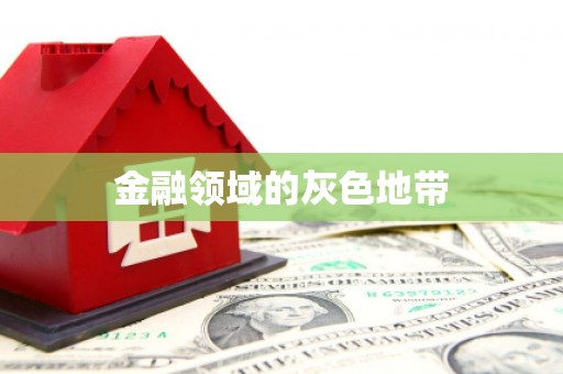 志丹金融领域的灰色地带