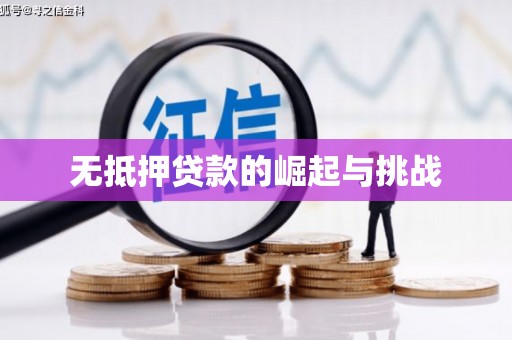 西平无抵押贷款的崛起与挑战